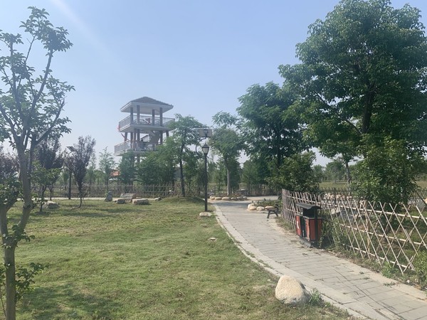 蚌埠市天公河及席家溝部分岸線環境綜合治理工程（天河張公湖連通工程）施工Ⅱ標 (1).jpg