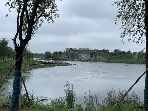 蚌埠市天公河及席家溝部分岸線環境綜合治理工程（天河張公湖連通工程）施工Ⅱ標 (3).jpg